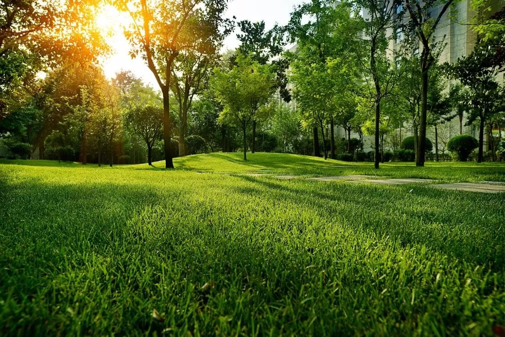 20210127/b9c5afdd6df990caf870bd3ad0bfb114.jpg 20210127/b9c5afdd6df990caf870bd3ad0bfb114.jpg