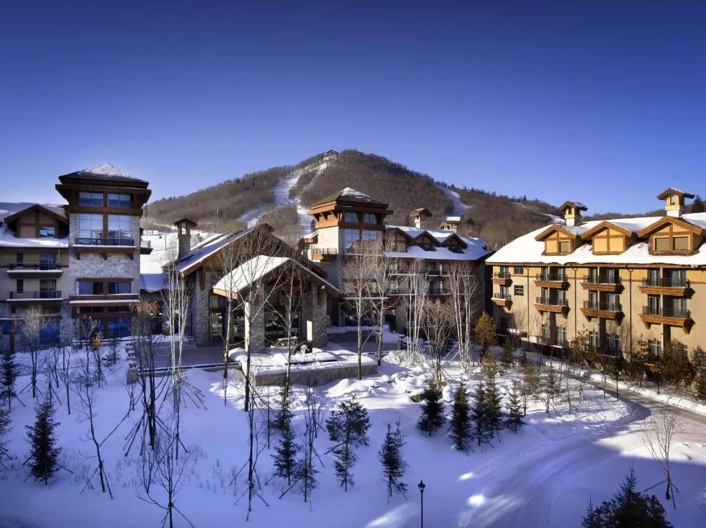 20210202/fb3c75996abea684af47b221e1bb33c6.jpg 20210202/fb3c75996abea684af47b221e1bb33c6.jpg